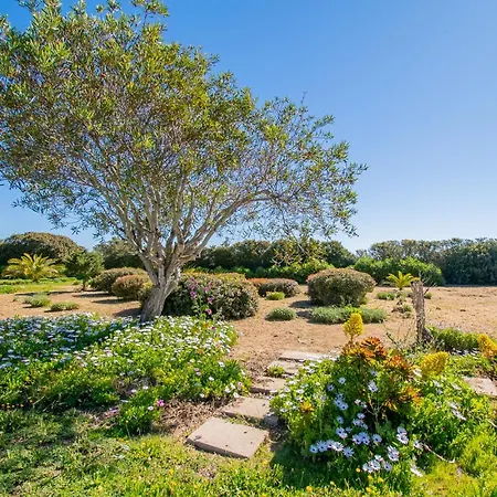 Casa Ryder - Short Walk From Da Marinha Lagoa (Algarve)